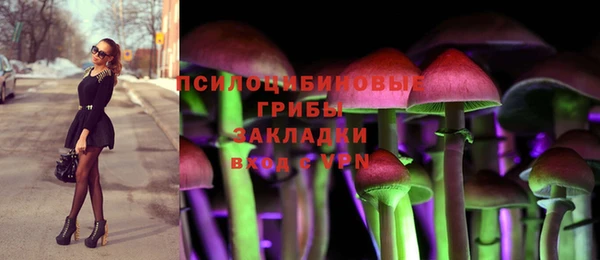 дмт Абинск