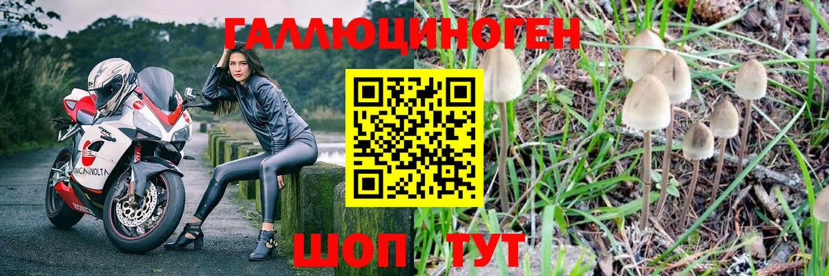 Псилоцибиновые грибы прущие грибы  Вход с VPN  Псилоцибиновые грибы мицелий  Белореченск 